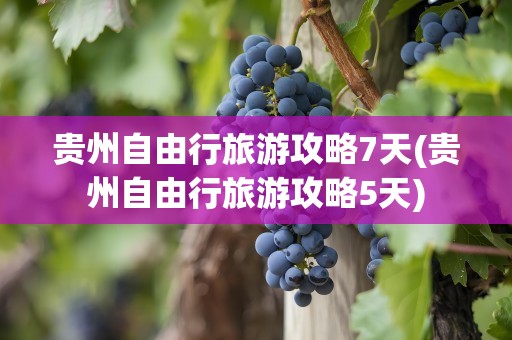 贵州自由行旅游攻略7天(贵州自由行旅游攻略5天)