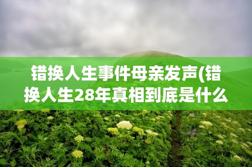 错换人生事件母亲发声(错换人生28年真相到底是什么)