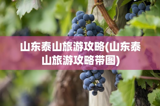 山东泰山旅游攻略(山东泰山旅游攻略带图)