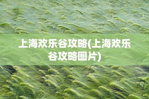 上海欢乐谷攻略(上海欢乐谷攻略图片)