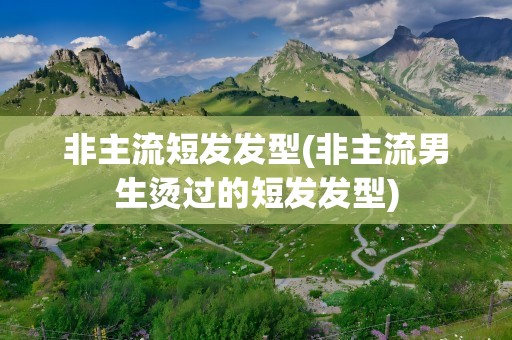 非主流短发发型(非主流男生烫过的短发发型)