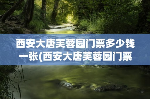 西安大唐芙蓉园门票多少钱一张(西安大唐芙蓉园门票多少钱一张老人优惠吗)