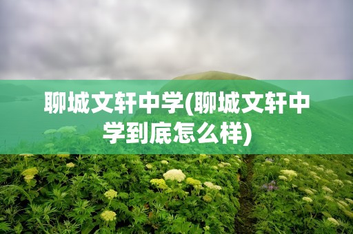 聊城文轩中学(聊城文轩中学到底怎么样)