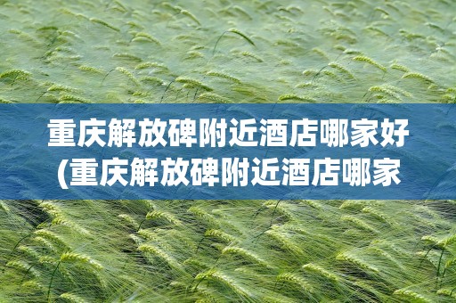 重庆解放碑附近酒店哪家好(重庆解放碑附近酒店哪家好点)