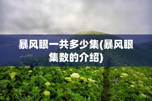 暴风眼一共多少集(暴风眼集数的介绍)