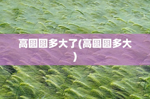 高圆圆多大了(高圆圆多大)