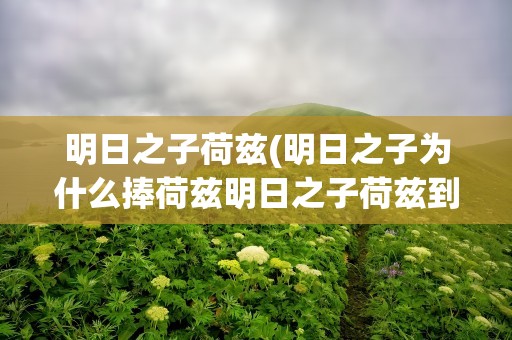 明日之子荷兹(明日之子为什么捧荷兹明日之子荷兹到底是什么)