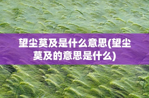 望尘莫及是什么意思(望尘莫及的意思是什么)