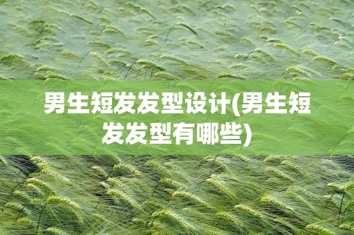 男生短发发型设计(男生短发发型有哪些)