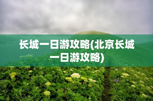 长城一日游攻略(北京长城一日游攻略)