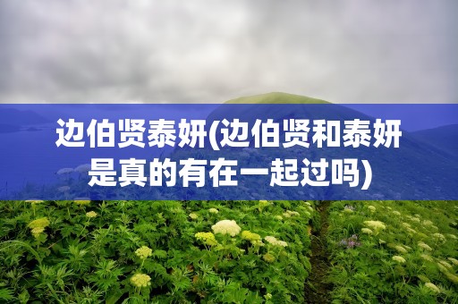边伯贤泰妍(边伯贤和泰妍是真的有在一起过吗)
