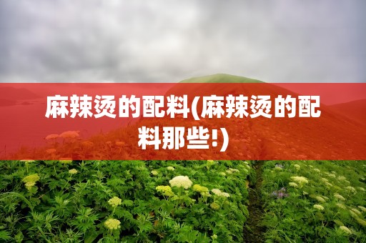 麻辣烫的配料(麻辣烫的配料那些!)