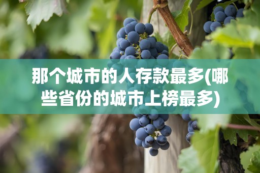 那个城市的人存款最多(哪些省份的城市上榜最多)