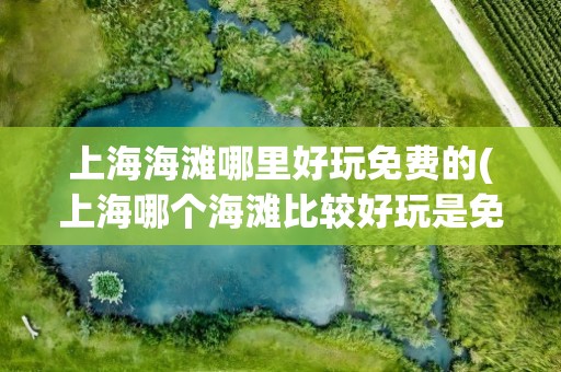 上海海滩哪里好玩免费的(上海哪个海滩比较好玩是免费的)