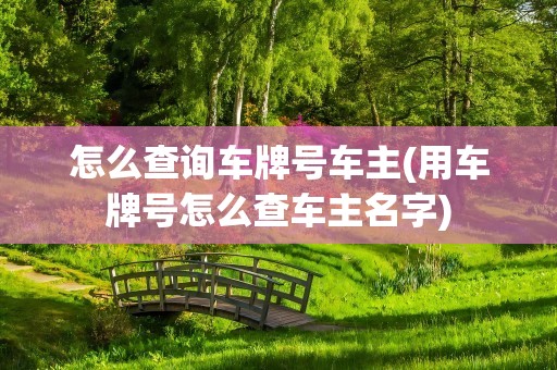 怎么查询车牌号车主(用车牌号怎么查车主名字)