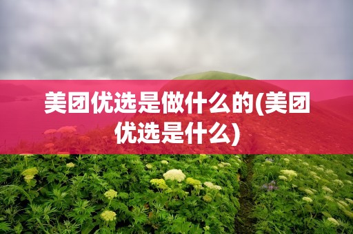 美团优选是做什么的(美团优选是什么)