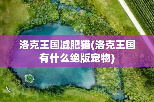 洛克王国减肥猫(洛克王国有什么绝版宠物)