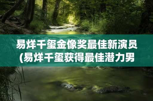 易烊千玺金像奖最佳新演员(易烊千玺获得最佳潜力男演员的颁奖词是什么)