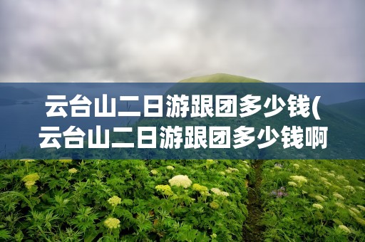 云台山二日游跟团多少钱(云台山二日游跟团多少钱啊)