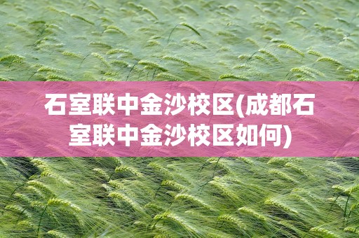 石室联中金沙校区(成都石室联中金沙校区如何)