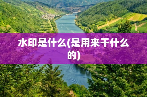 水印是什么(是用来干什么的)