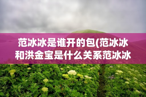 范冰冰是谁开的包(范冰冰和洪金宝是什么关系范冰冰的三大后台老板是谁)