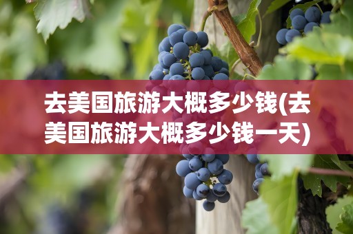 去美国旅游大概多少钱(去美国旅游大概多少钱一天)