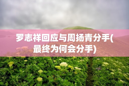 罗志祥回应与周扬青分手(最终为何会分手)