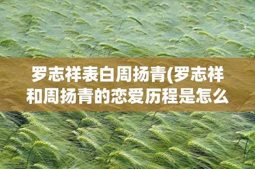 罗志祥表白周扬青(罗志祥和周扬青的恋爱历程是怎么样的)