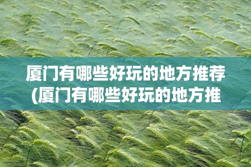 厦门有哪些好玩的地方推荐(厦门有哪些好玩的地方推荐儿童)