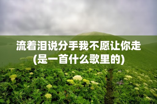 流着泪说分手我不愿让你走(是一首什么歌里的)