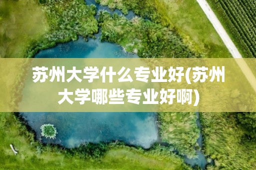 苏州大学什么专业好(苏州大学哪些专业好啊)