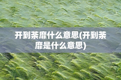 开到荼靡什么意思(开到荼靡是什么意思)