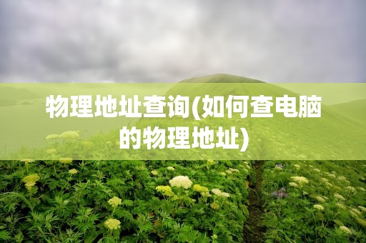 物理地址查询(如何查电脑的物理地址)