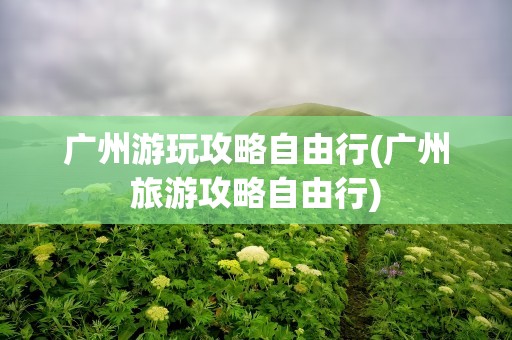 广州游玩攻略自由行(广州旅游攻略自由行)