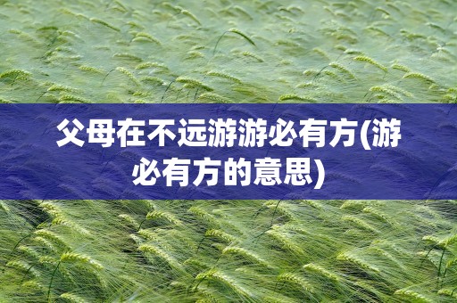 父母在不远游游必有方(游必有方的意思)