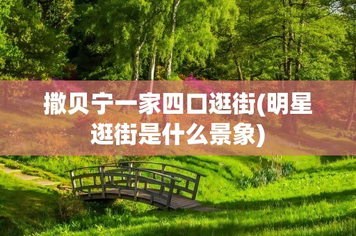 撒贝宁一家四口逛街(明星逛街是什么景象)
