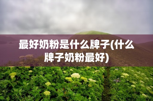 最好奶粉是什么牌子(什么牌子奶粉最好)
