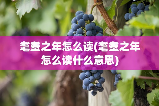 耄耋之年怎么读(耄耋之年怎么读什么意思)