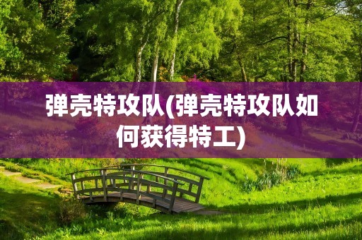 弹壳特攻队(弹壳特攻队如何获得特工)