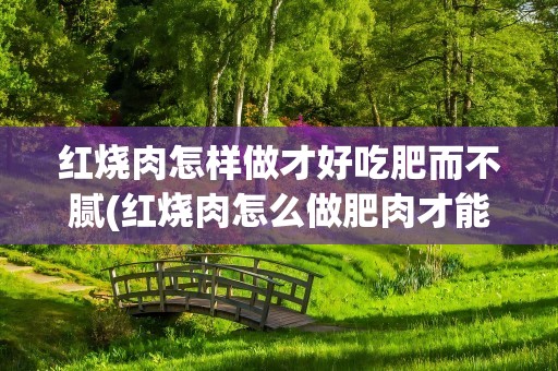 红烧肉怎样做才好吃肥而不腻(红烧肉怎么做肥肉才能肥而不腻)