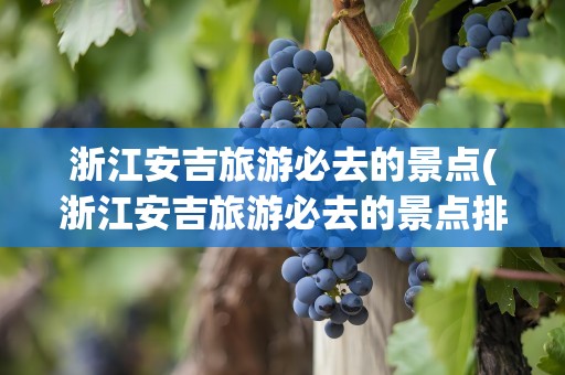 浙江安吉旅游必去的景点(浙江安吉旅游必去的景点排名)