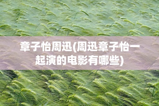 章子怡周迅(周迅章子怡一起演的电影有哪些)