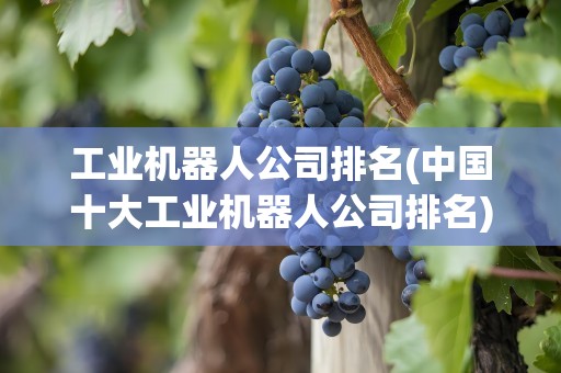 工业机器人公司排名(中国十大工业机器人公司排名)