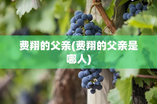 费翔的父亲(费翔的父亲是哪人)