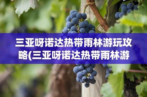 三亚呀诺达热带雨林游玩攻略(三亚呀诺达热带雨林游玩项目)
