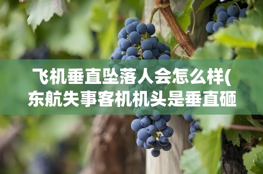 飞机垂直坠落人会怎么样(东航失事客机机头是垂直砸向地面吗)