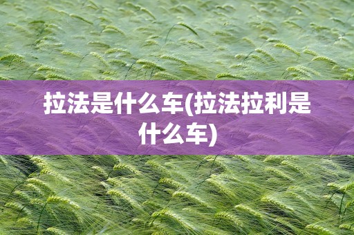 拉法是什么车(拉法拉利是什么车)