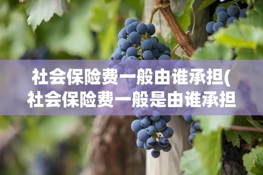 社会保险费一般由谁承担(社会保险费一般是由谁承担)