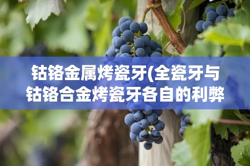 钴铬金属烤瓷牙(全瓷牙与钴铬合金烤瓷牙各自的利弊)